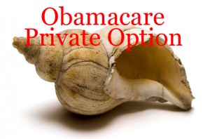 Obamacare shell